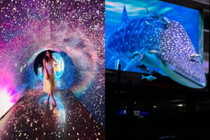 FIRST IN MANILA: A 3D Whale Shark billboard, Space Tunnel, Golden Gateway and Dazzling Light shows- ALL Immersive experiences lead to SM