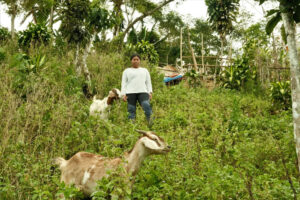 Herding her future: SAAD farmer bought lot, built house from goat raising income