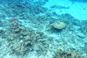 US envoy: Coral destruction at Escoda, Rozul Reef ‘troubling’