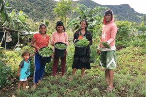 Planting the SEED: Creating resilient, self-reliant farmers in Claveria