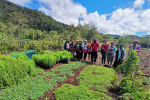 Planting the SEED: Creating resilient, self-reliant farmers in Claveria