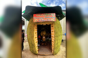 go town hosts colorful 65th Araw ng Maigo, 14th Nangkaan Festival