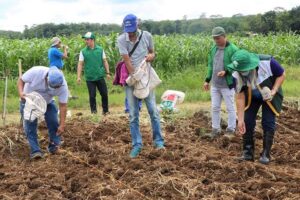 DA-RCUD embarks derby showcasing firms’ hybrid corn varieties