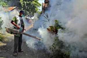 Sarangani intensifies fight against dengue fever