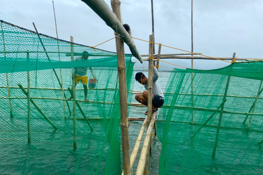 Uplifting lives through bangus farming in Pagbilao Grande Island