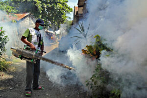 Chikungunya recurs in Davao City after a decade