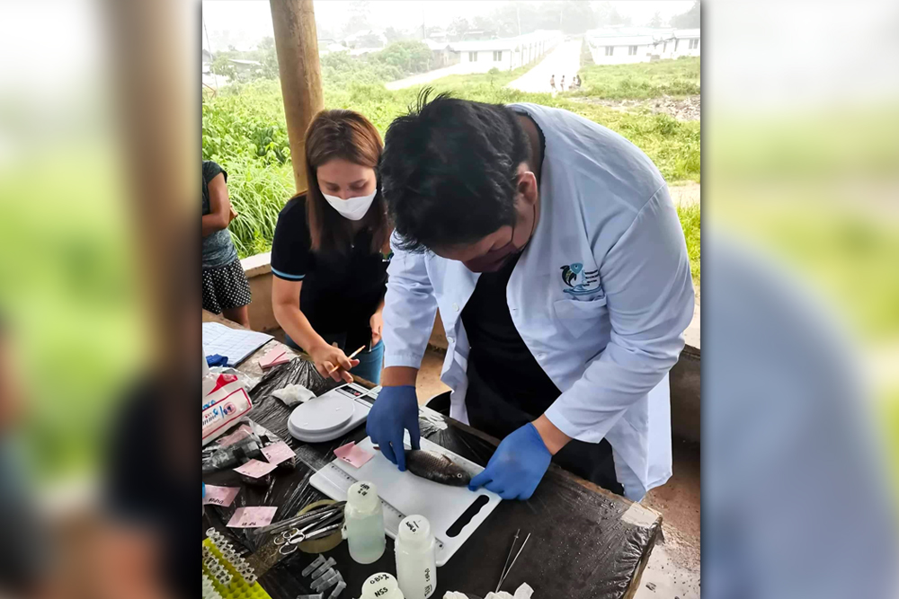 BFAR-10, NFRDI conduct TiLV sampling in Bukidnon, LDN