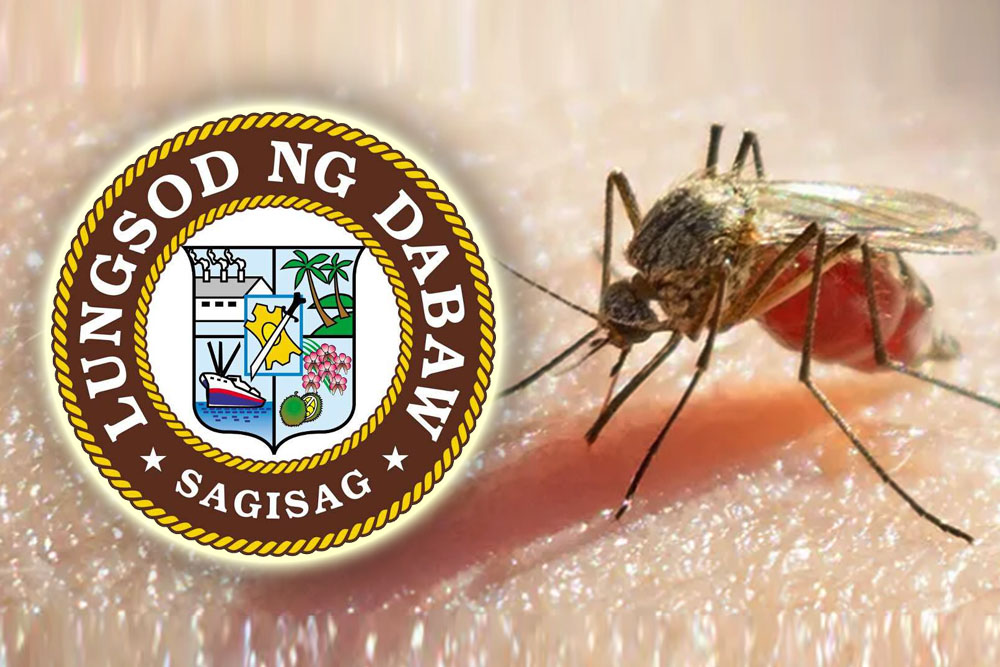 2 Davao City villages monitored for possible chikungunya cases