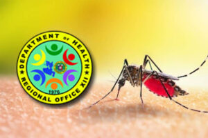 Soccsksargen tallies 1.6K dengue cases, 17 deaths