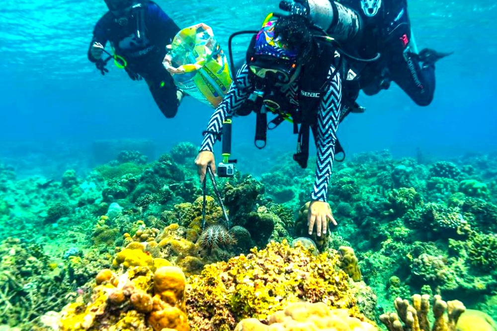 Crown-of-thorns starfish outbreak threatens Sarangani’s marine life