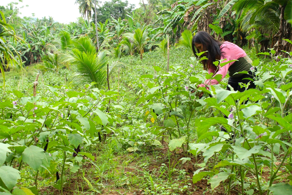 Planting the seeds of a better future