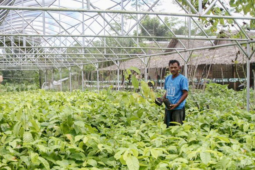 2 robusta coffee varieties from PH shine in World of Coffee