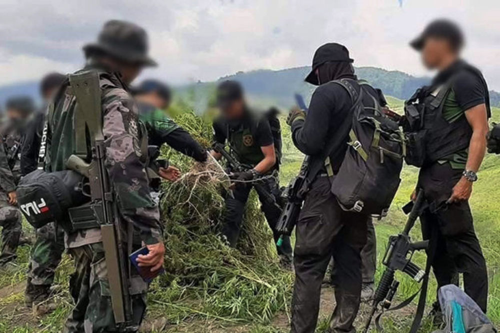 P1 million worth of marijuana kush, cannabis oil seized in Kidapawan City