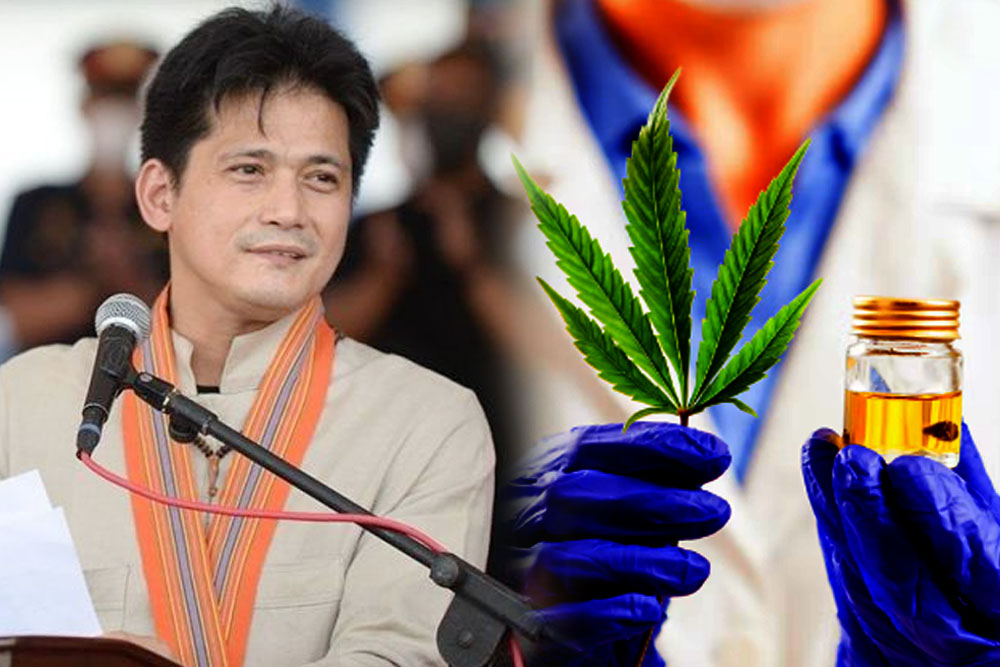 Senator Robin Padilla Files Bill to Legalize Medical Marijuana Use