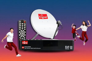 Cignal Cable invests in Sky Cable