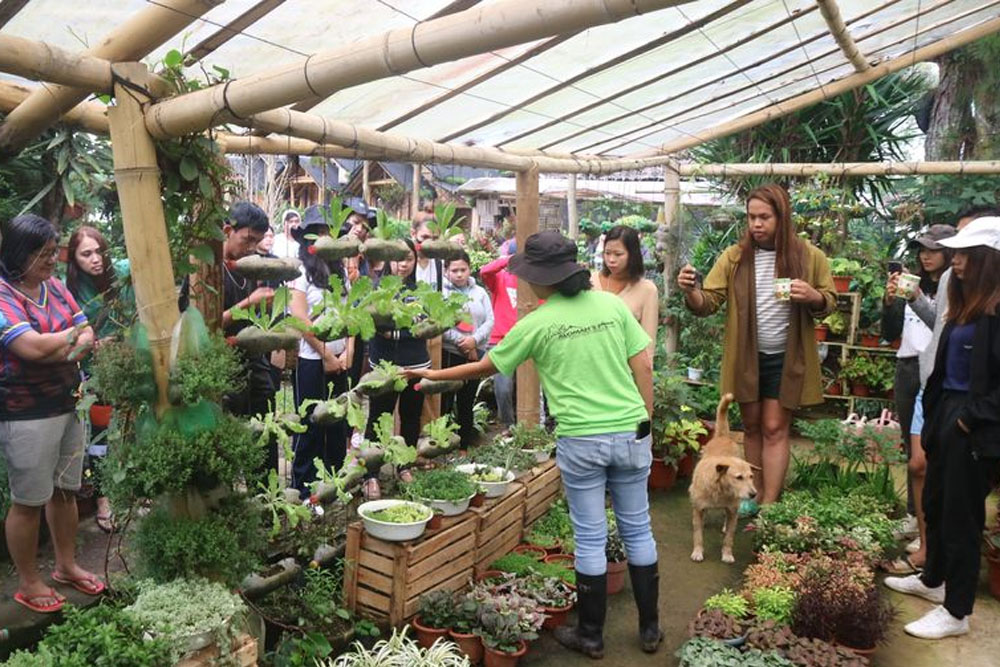 Regional 4-H Youth Camp showcases knowledge sharing on agri, new farming technologies