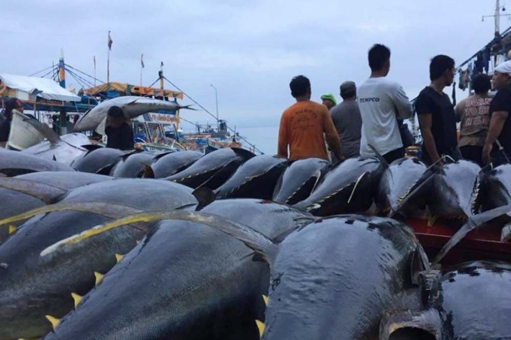 GenSan tuna industry players push for creation of fisheries dep’t