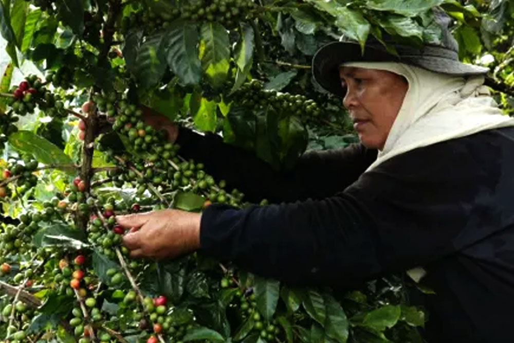 Thousands of Mindanao farmers take center stage at Program Launching & Philippine Coffee Expo in Davao