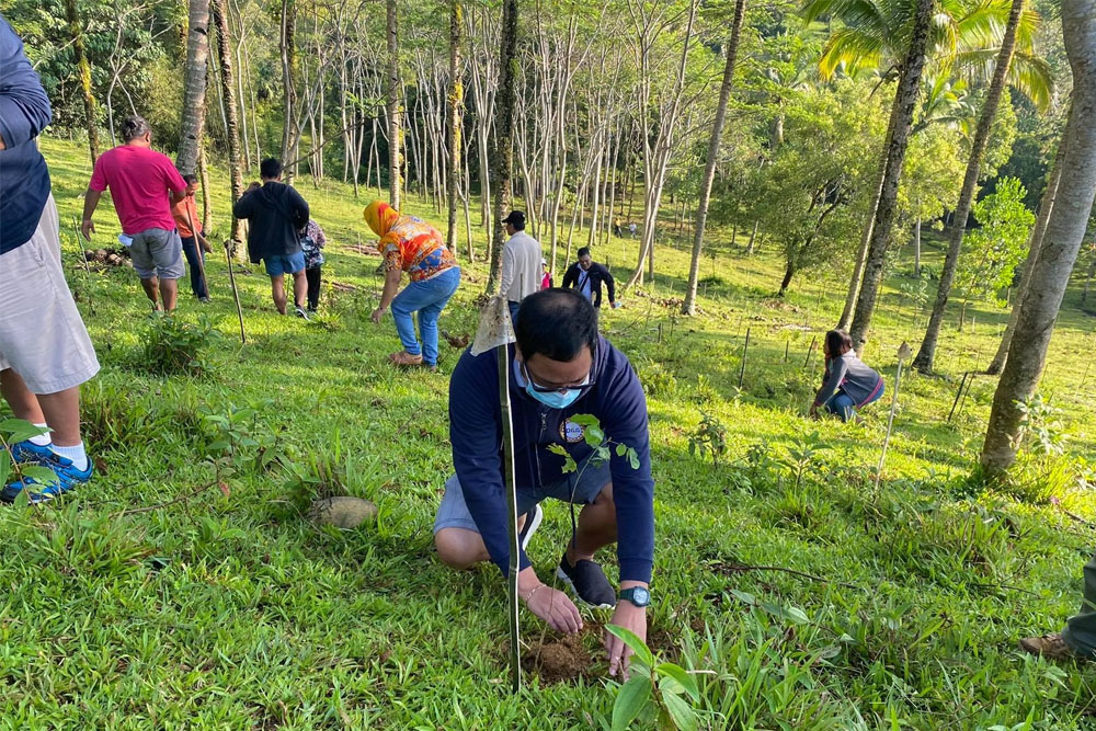 DILG, DENR, DA kick off tree planting project in Tudela