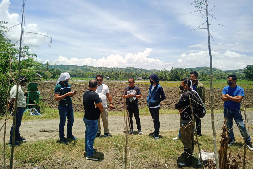 MisOr rice production system seen to achieve self-sufficiency