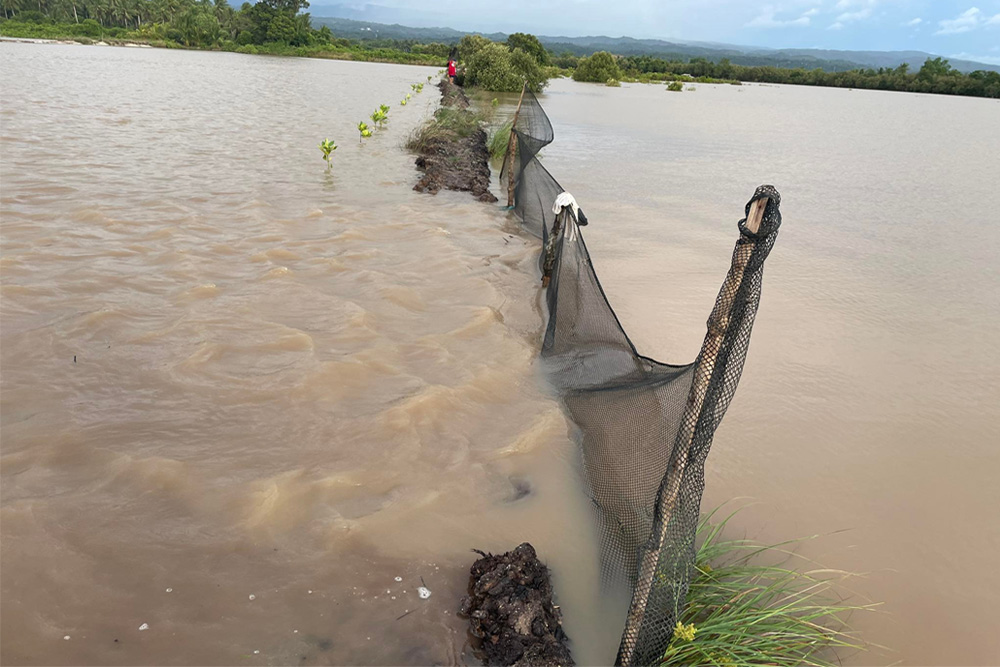 Paeng destroys P67.2-M Zambo City crops, fisheries