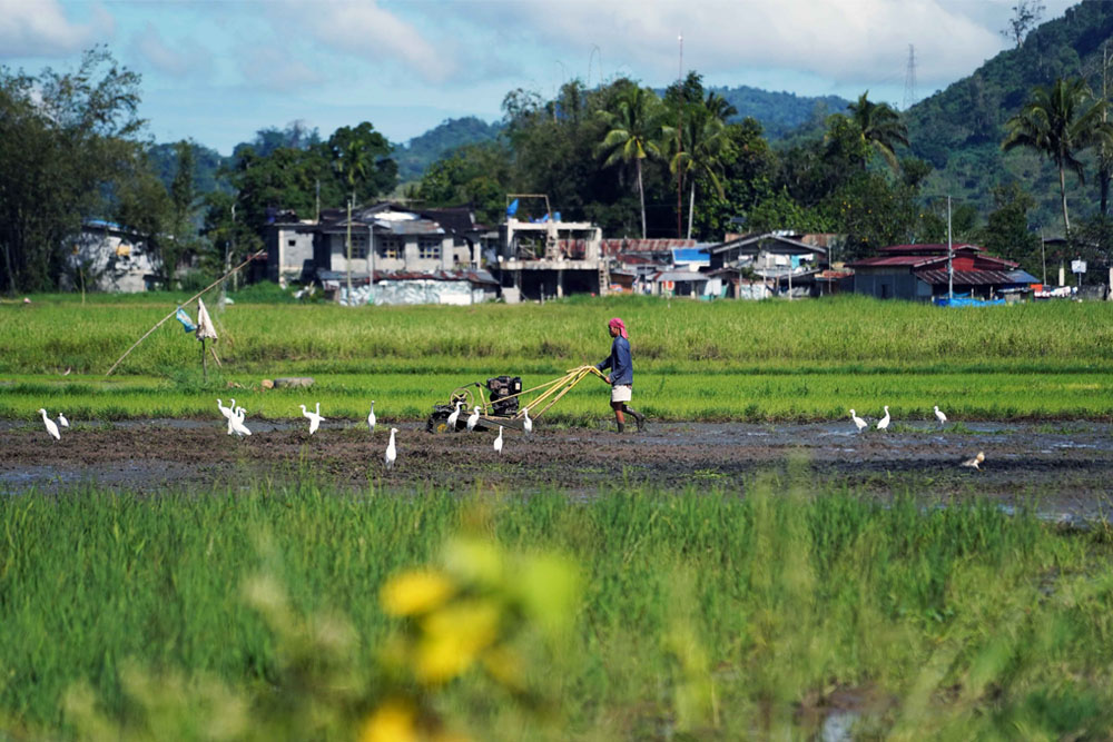 Farmers attest to CFSI’s efforts to boost agri sector in LDS town