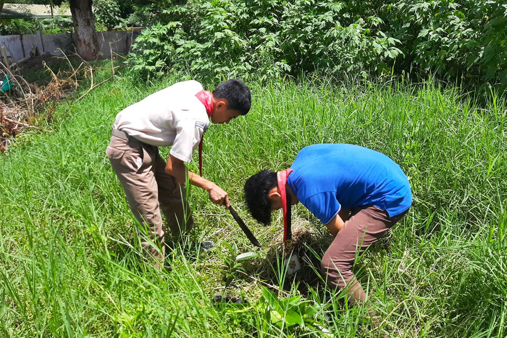 BSP Bukidnon charter conducts tree planting