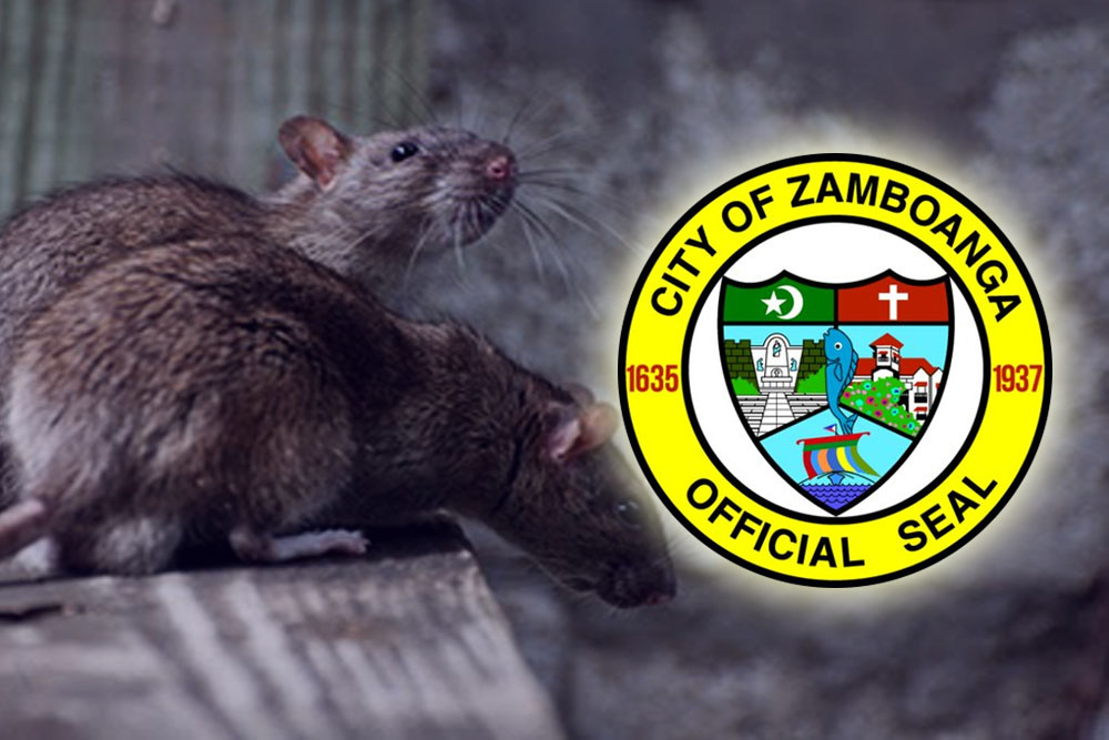 Zambo City logs 141 leptospirosis cases with 26 deaths