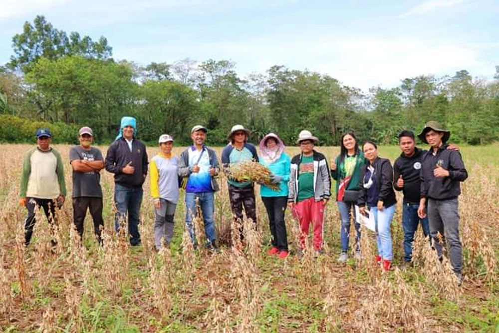 DA-10 leads soybean harvest in Maramag town