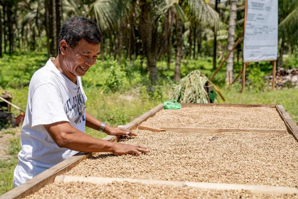 Revitalizing Maitum’s Robusta coffee