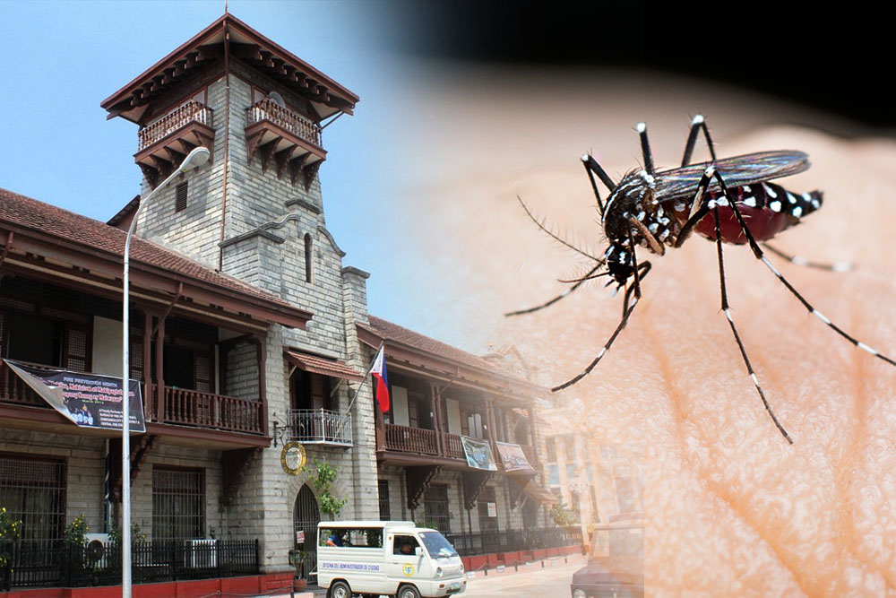 Zambo City tops dengue cases, deaths in Region 9: DOH