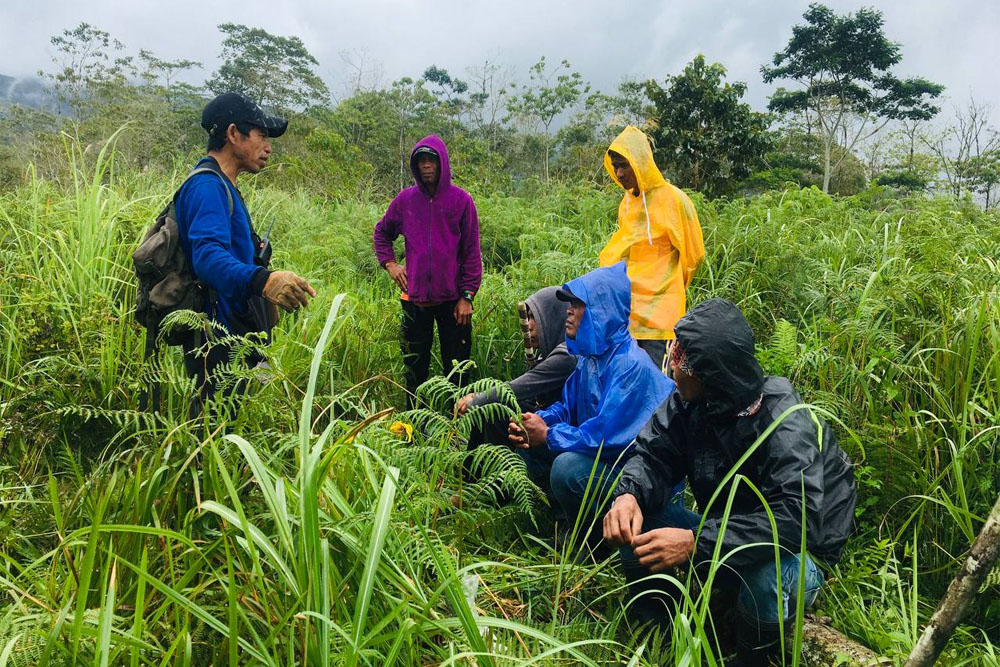 DOST, Bukidnon town to collaborate on first drone-aided reforestation