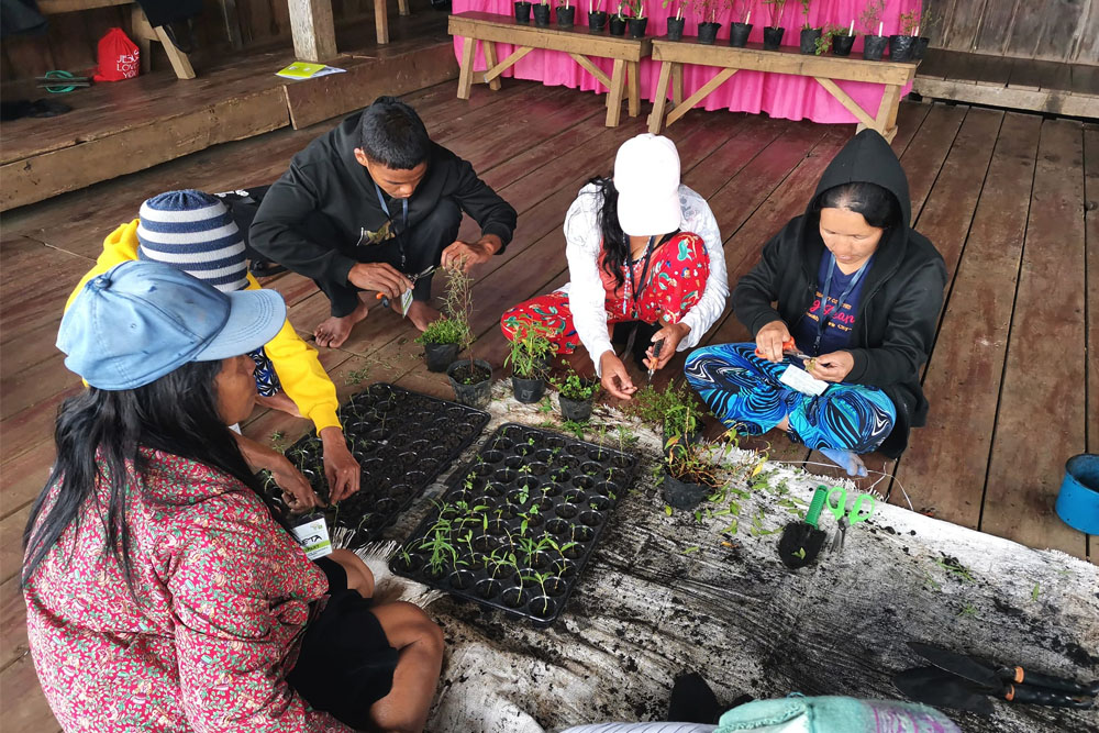 Organic herbs training underscores income opportunity for Higaonon tribe in Claveria