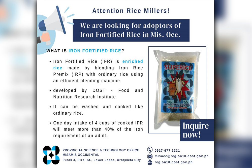 DOST MisOcc in search for adopters of iron-fortified rice