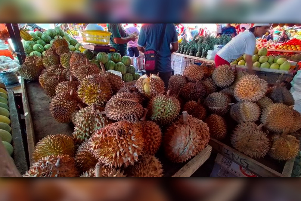 Imaging tech project for durian great help to farmers: DA