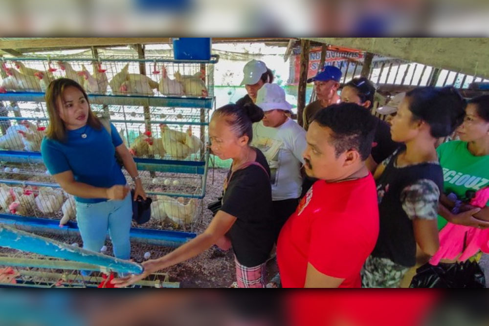 P2.9-M egg production grants up for 5 groups in Surigao Norte