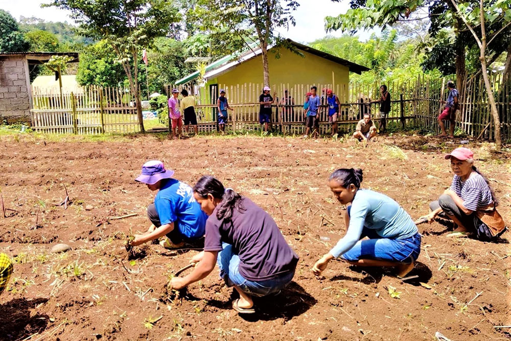 PlantSmart reaches ZamSur youths, promoting food security