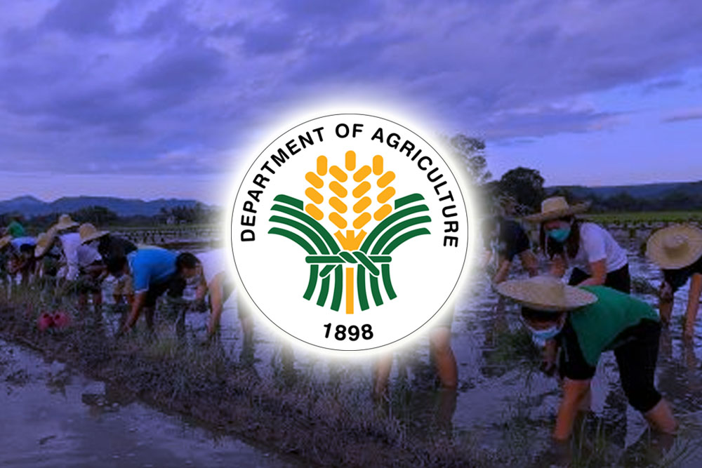 DA to provide fertilizer aid in Zamboanga Peninsula