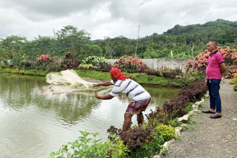 P30-M facility helps upgrade skills of farmers in Agusan Norte