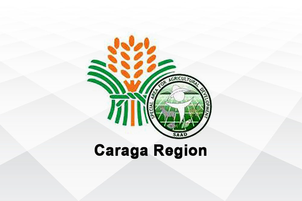 Surigao Norte farmers groups get P16.4-M DA projects