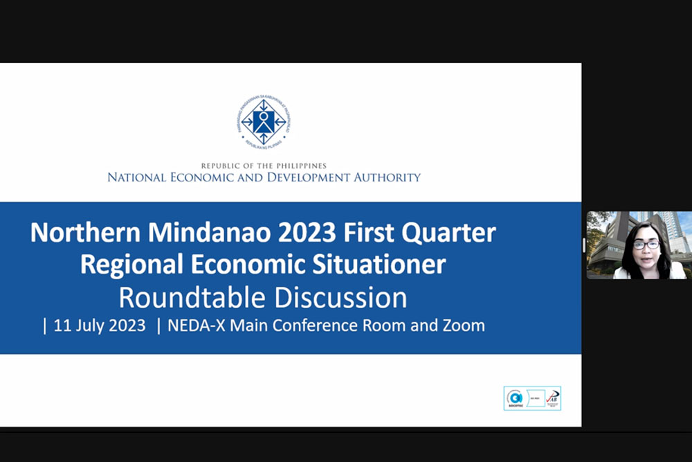 NEDA-10 holds discussion on 1Q reg'l economic situationer