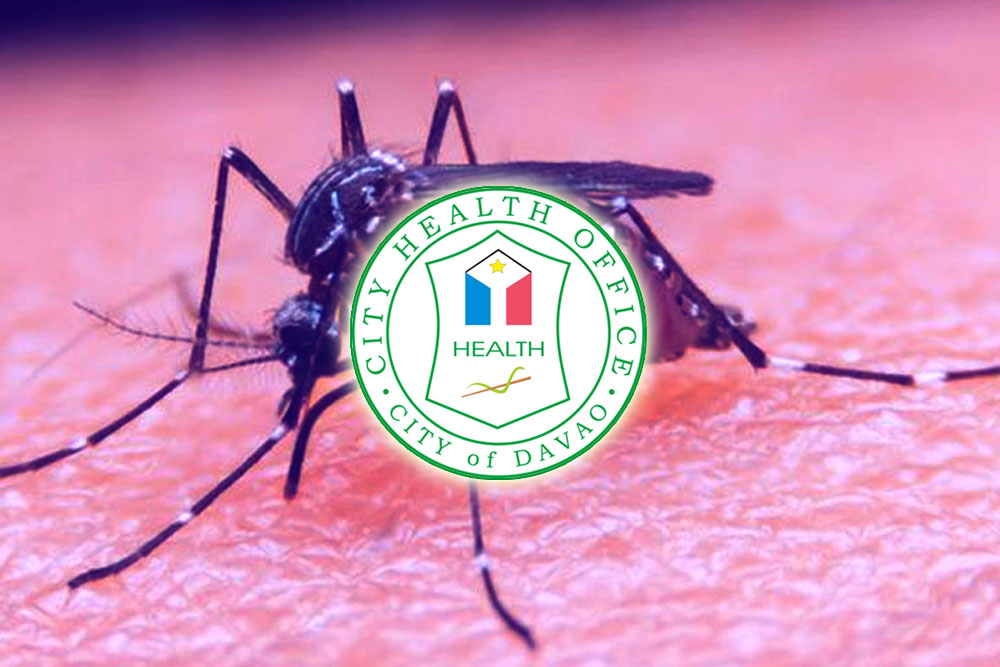 Davao villages urged to form Dengue Task Force amid high cases