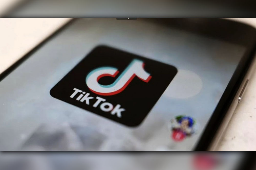 Internet Society backs TikTok ban in gov't security sector