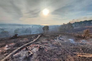 Bushfire ruins 25-hectare land in Siargao town