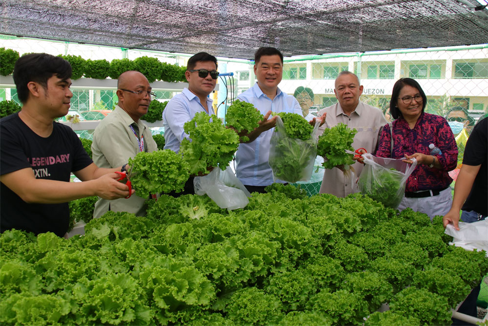 CNHS welcomes smart hydroponic farming system with inaugural lettuce harvest