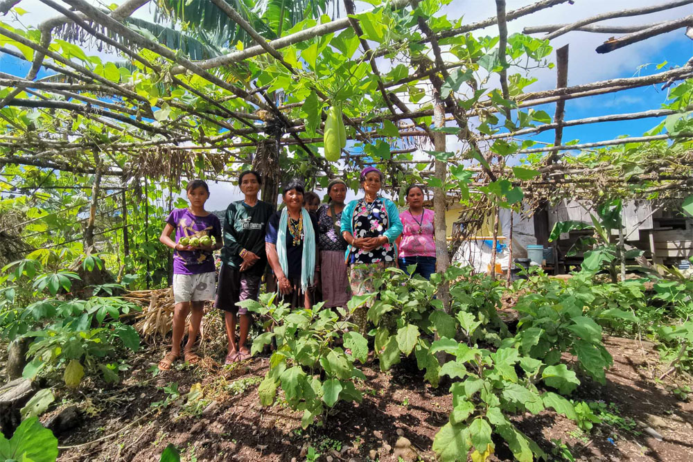 Planting the SEED: Creating resilient, self-reliant farmers in Claveria