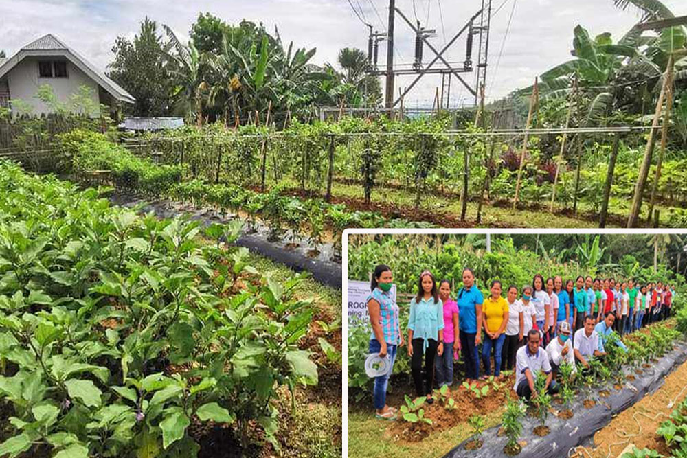 More communal gardens established in Normin via GUGMA Program