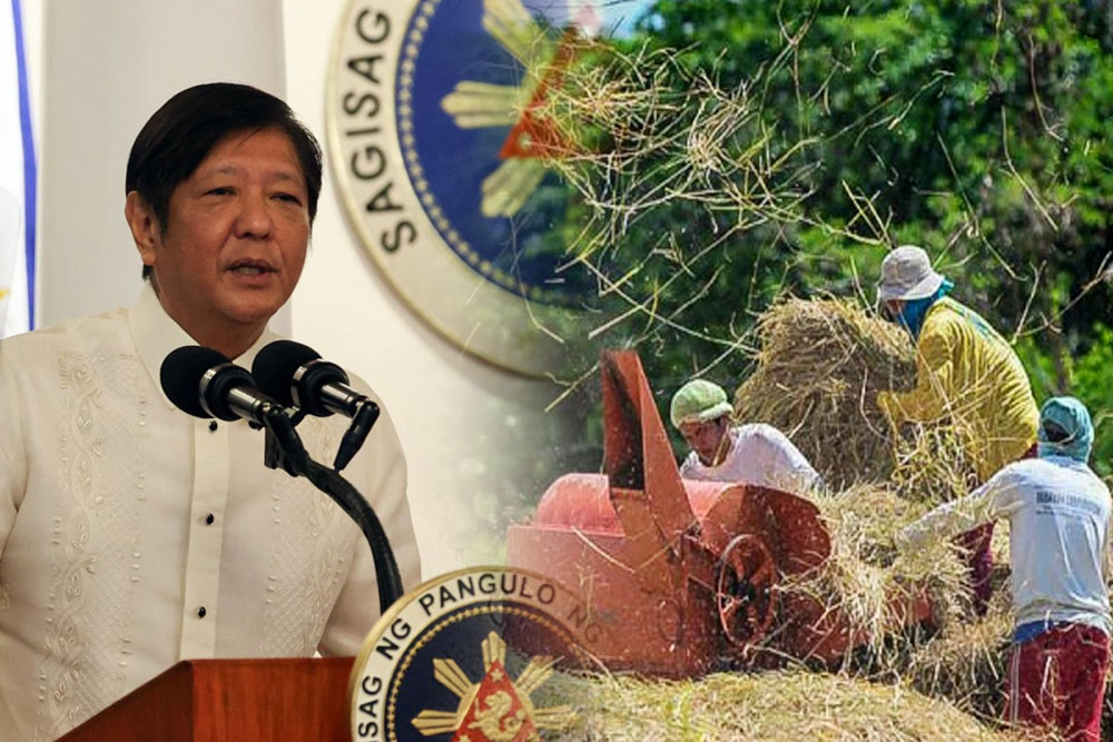 PBBM orders release of P12.7-B for rice farmers