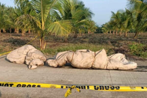 2 men from Davao found dead in Maguindanao Sur