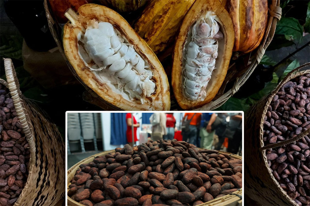 Nat’l cacao congress highlights latest technology, innovations